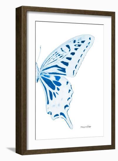 Miss Butterfly Xuthus - X Ray Right White Edition-Philippe Hugonnard-Framed Photographic Print