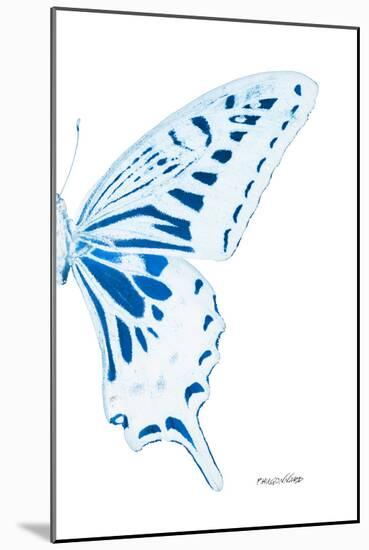 Miss Butterfly Xuthus - X Ray Right White Edition-Philippe Hugonnard-Mounted Photographic Print