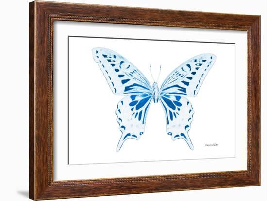 Miss Butterfly Xuthus - X Ray White Edition-Philippe Hugonnard-Framed Photographic Print