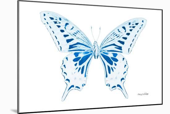 Miss Butterfly Xuthus - X Ray White Edition-Philippe Hugonnard-Mounted Photographic Print