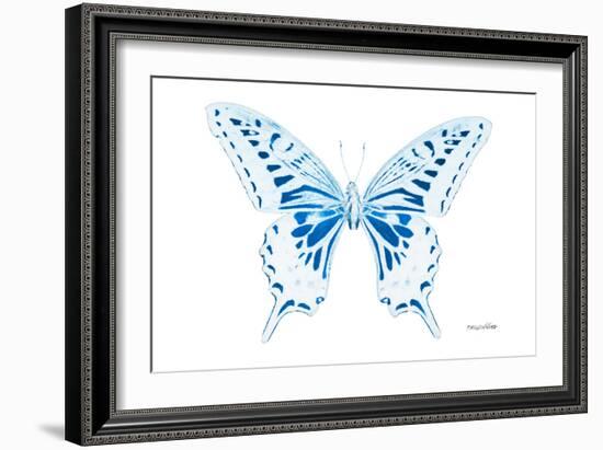 Miss Butterfly Xuthus - X Ray White Edition-Philippe Hugonnard-Framed Photographic Print