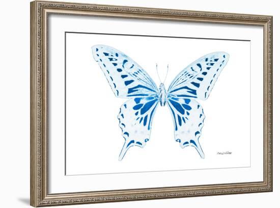 Miss Butterfly Xuthus - X Ray White Edition-Philippe Hugonnard-Framed Photographic Print