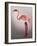 Miss Candycane-Fab Funky-Framed Art Print