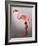 Miss Candycane-Fab Funky-Framed Art Print