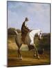 Miss Cazenove on a Grey Hunter, a Dog Running Alongside-Jacques-Laurent Agasse-Mounted Giclee Print