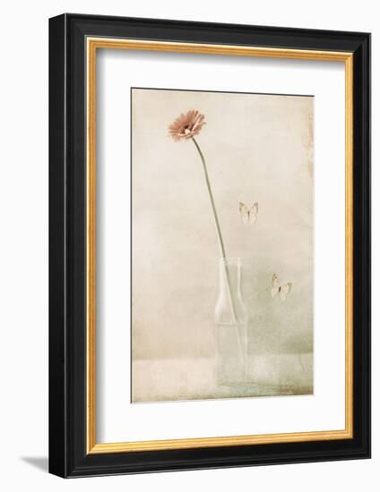 Miss Daisy-Delphine Devos-Framed Photographic Print