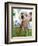 Miss Ellie Competes in World's Ugliest Dog Contest at Sonoma-Marin Fair in Petaluma, California-null-Framed Photographic Print