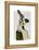 Miss Hare-Fab Funky-Framed Stretched Canvas