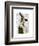 Miss Hare-Fab Funky-Framed Art Print