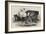 Miss Nightingale's Carriage at the Seat of War-null-Framed Giclee Print