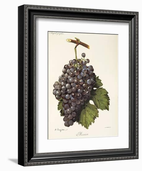 Mission Grape-A. Kreyder-Framed Giclee Print