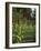 Mission House, Stockbridge, Berkshires, Massachusetts, USA-Lisa S. Engelbrecht-Framed Photographic Print