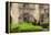 Mission San Jose in San Antonio, Texas, USA-Chuck Haney-Framed Premier Image Canvas