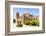 Mission San Jose Y San Miguel De Aguayo, Mission San Jose, San Antonio, Texas, U.S.A.-Kav Dadfar-Framed Photographic Print