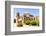 Mission San Jose Y San Miguel De Aguayo, Mission San Jose, San Antonio, Texas, U.S.A.-Kav Dadfar-Framed Photographic Print