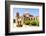 Mission San Jose Y San Miguel De Aguayo, Mission San Jose, San Antonio, Texas, U.S.A.-Kav Dadfar-Framed Photographic Print