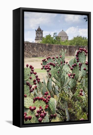 Mission San Jose-Larry Ditto-Framed Premier Image Canvas