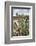 Mission San Jose-Larry Ditto-Framed Photographic Print