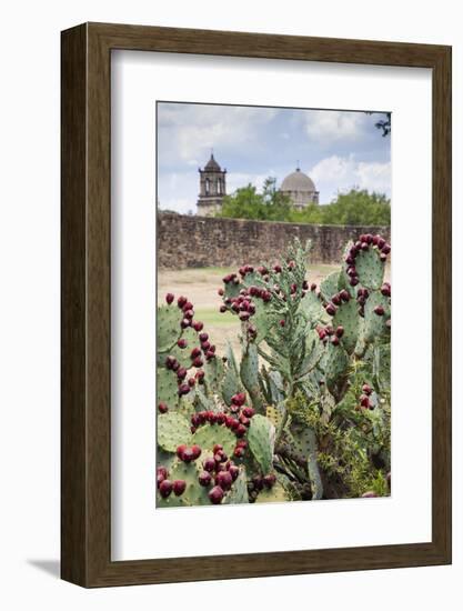 Mission San Jose-Larry Ditto-Framed Photographic Print