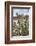 Mission San Jose-Larry Ditto-Framed Photographic Print