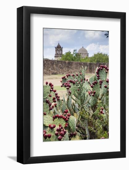 Mission San Jose-Larry Ditto-Framed Photographic Print