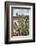 Mission San Jose-Larry Ditto-Framed Photographic Print