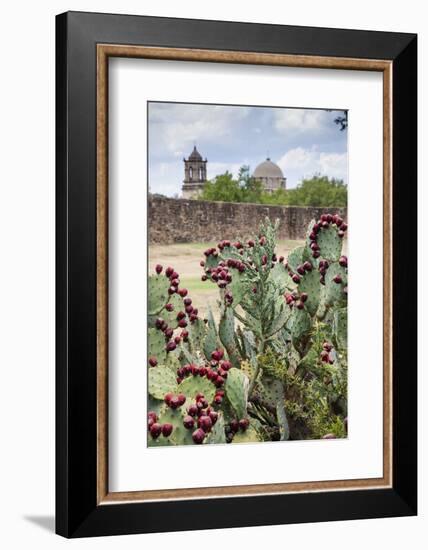 Mission San Jose-Larry Ditto-Framed Photographic Print