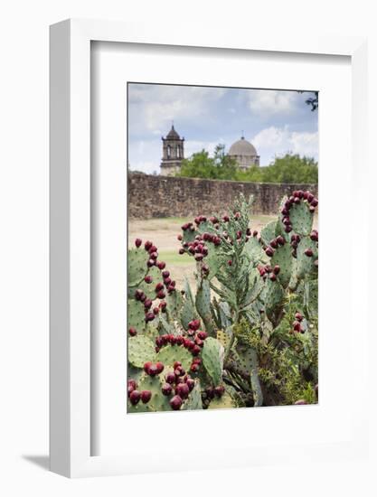 Mission San Jose-Larry Ditto-Framed Photographic Print