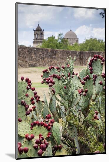 Mission San Jose-Larry Ditto-Mounted Photographic Print