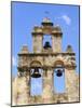 Mission San Juan, San Antonio, Texas, United States of America, North America-Michael DeFreitas-Mounted Photographic Print