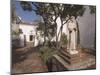 Mission San Luis Rey, California, USA-Ethel Davies-Mounted Photographic Print