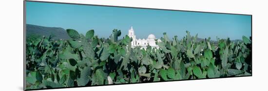 Mission San Xavier Del Bac from 1783-1797, Tucson, Arizona-null-Mounted Photographic Print