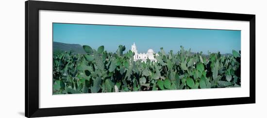 Mission San Xavier Del Bac from 1783-1797, Tucson, Arizona-null-Framed Photographic Print