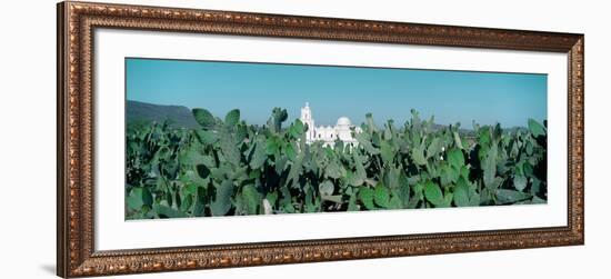 Mission San Xavier Del Bac from 1783-1797, Tucson, Arizona-null-Framed Photographic Print