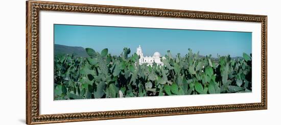 Mission San Xavier Del Bac from 1783-1797, Tucson, Arizona-null-Framed Photographic Print