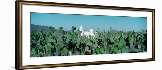 Mission San Xavier Del Bac from 1783-1797, Tucson, Arizona-null-Framed Photographic Print