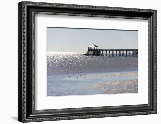 Mississippi, Bay St Louis. Shorebirds and Pier Seen from Marina-Trish Drury-Framed Photographic Print