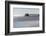 Mississippi, Bay St Louis. Shorebirds and Pier Seen from Marina-Trish Drury-Framed Photographic Print