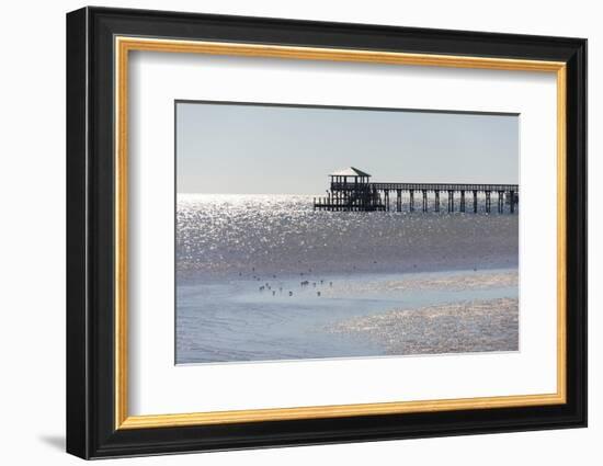 Mississippi, Bay St Louis. Shorebirds and Pier Seen from Marina-Trish Drury-Framed Photographic Print