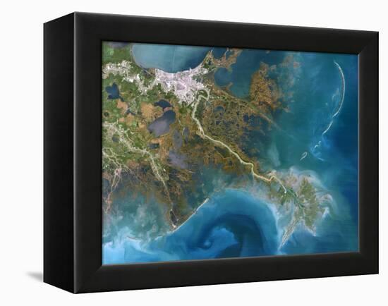 Mississippi Delta, Satellite Image-PLANETOBSERVER-Framed Premier Image Canvas