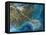 Mississippi Delta, Satellite Image-PLANETOBSERVER-Framed Premier Image Canvas