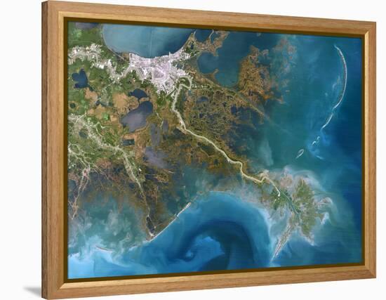 Mississippi Delta, Satellite Image-PLANETOBSERVER-Framed Premier Image Canvas
