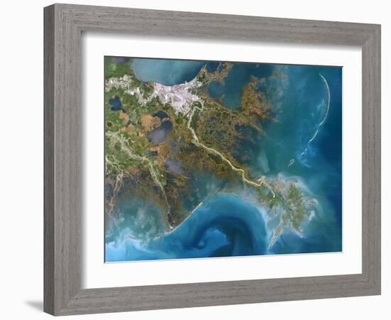 Mississippi Delta, Satellite Image-PLANETOBSERVER-Framed Photographic Print