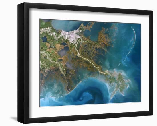 Mississippi Delta, Satellite Image-PLANETOBSERVER-Framed Photographic Print