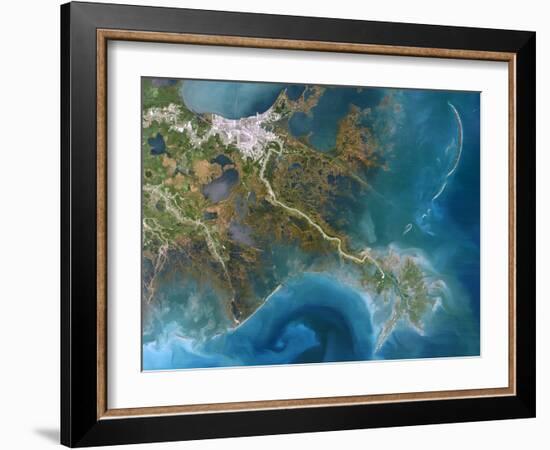 Mississippi Delta, Satellite Image-PLANETOBSERVER-Framed Photographic Print