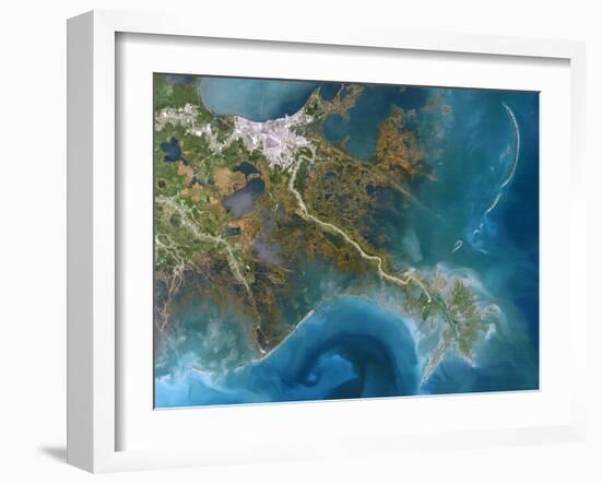 Mississippi Delta, Satellite Image-PLANETOBSERVER-Framed Photographic Print