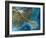 Mississippi Delta, Satellite Image-PLANETOBSERVER-Framed Photographic Print