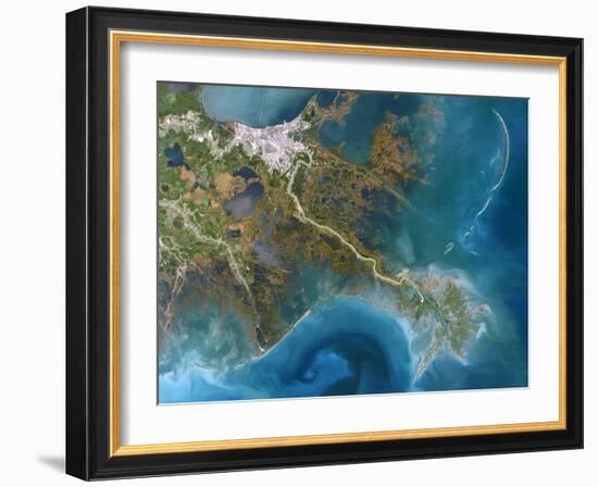 Mississippi Delta, Satellite Image-PLANETOBSERVER-Framed Photographic Print