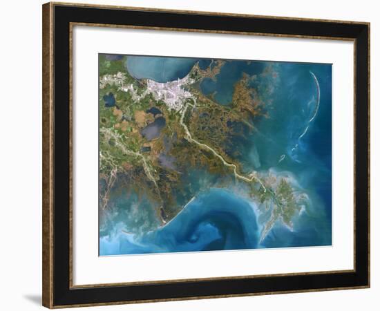 Mississippi Delta, Satellite Image-PLANETOBSERVER-Framed Photographic Print