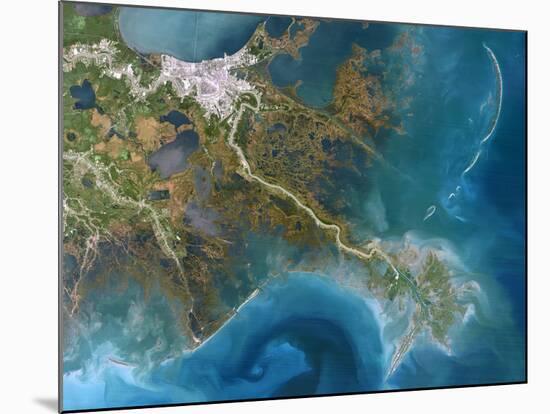 Mississippi Delta, Satellite Image-PLANETOBSERVER-Mounted Photographic Print